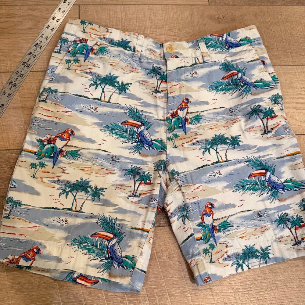 Tommy Hilfiger Vintage-Inspired Tropical Parrot & Palm Tree Print Mens Shorts 34